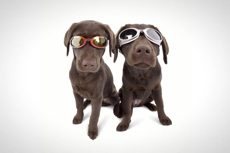 10 удивительных идей, которые принесли миллионы