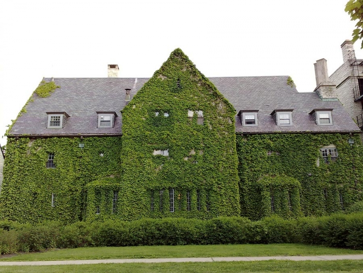 Живописные дома захваченные растениями