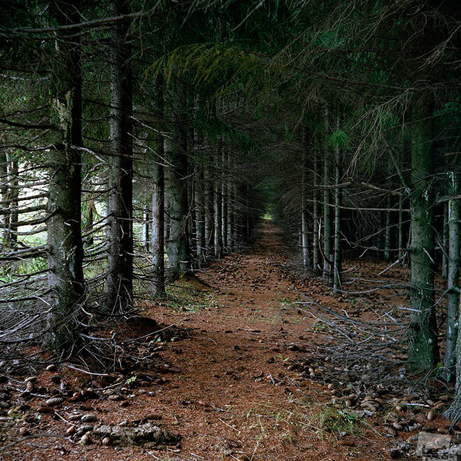 Лучшие фотографии России 2012