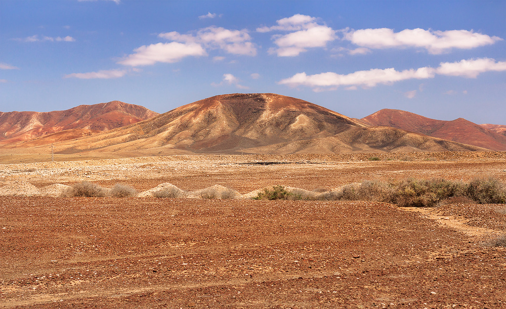 Филиал Марса на Земле