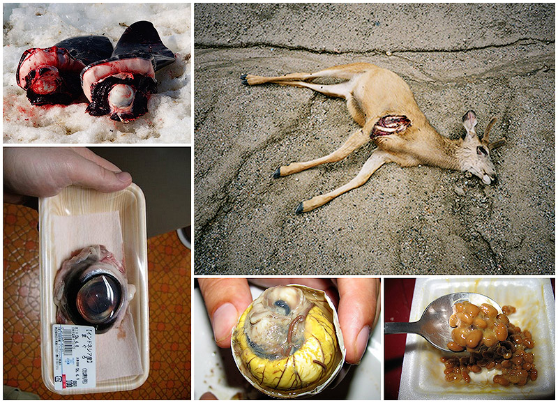 Самые отвратительные блюда