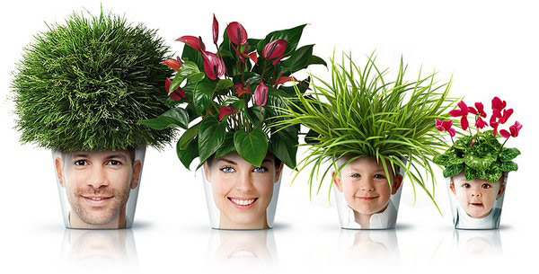 Лицо на горшке