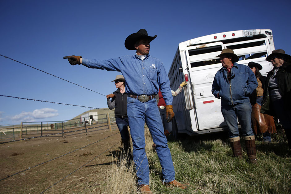 Последние ковбои