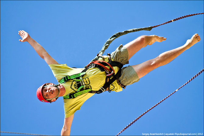 Летающие над морем