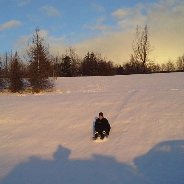 Веселые моменты из жизни полицейских