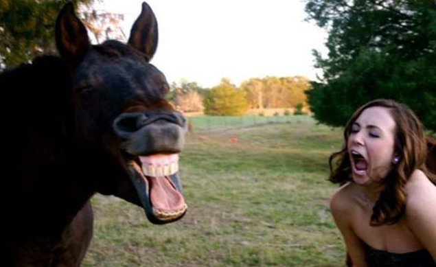 Девчонки отжигают!