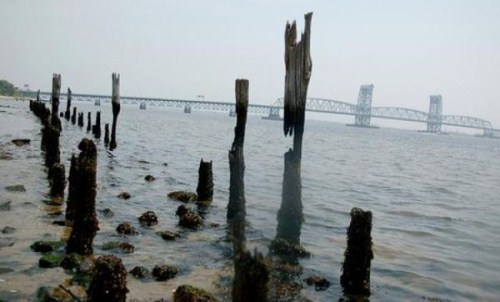 Залив мертвой лошади