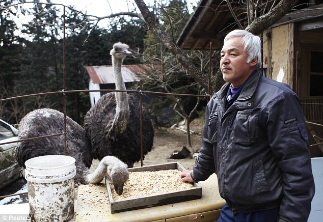 Японский фермер живет в заражённом городе