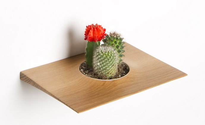 Полки для кактусов и небольших комнатных растений