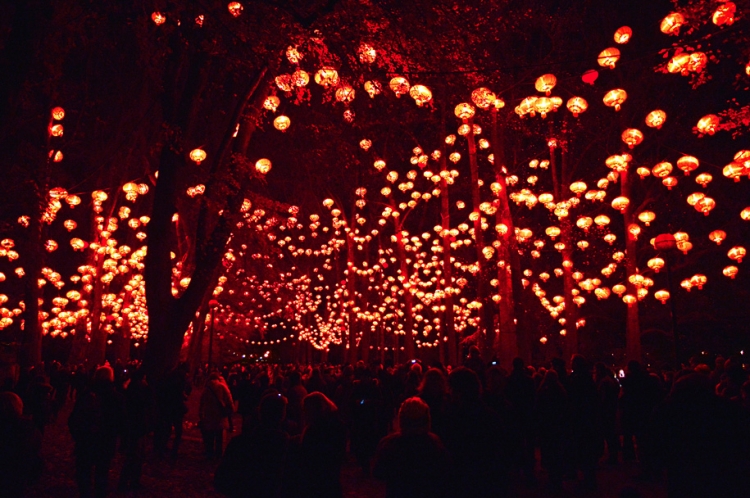 Волшебные световые инсталляции на фестивале «Lyon Festival of Lights 2013» 