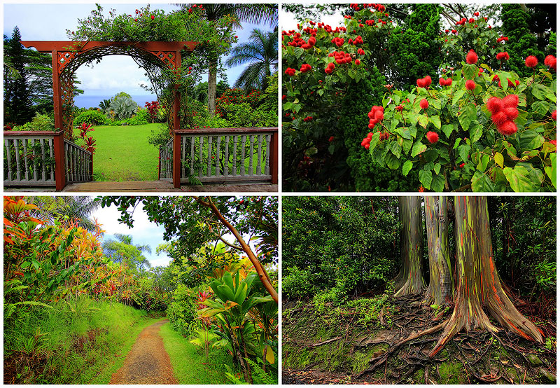  Сады острова Мауи 