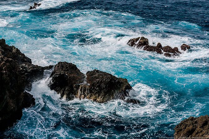 Путешествие на остров Мадейра