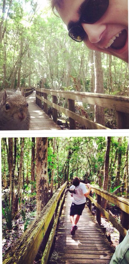 Удачный момент для селфи