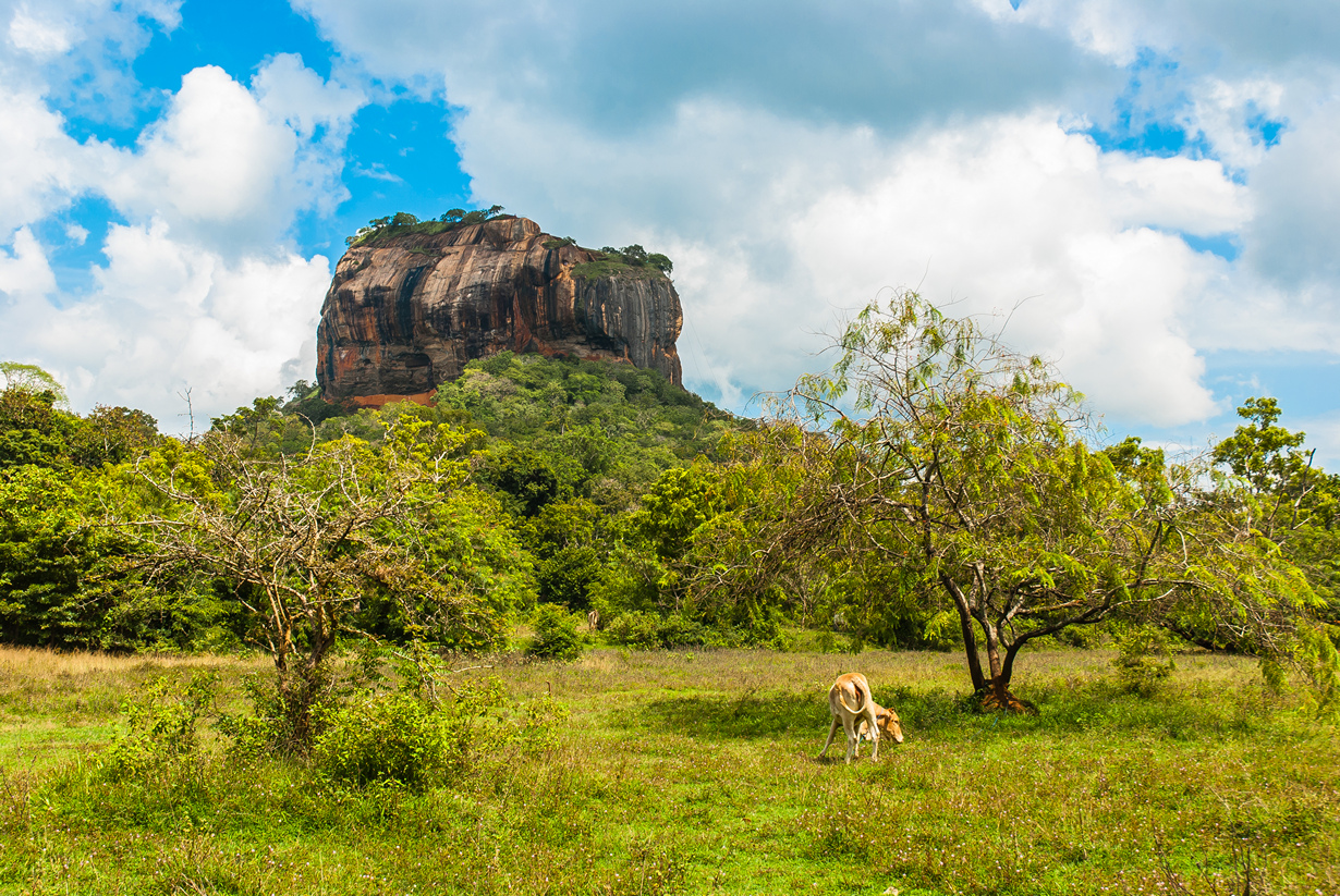 Сигирия. Крепость-плато