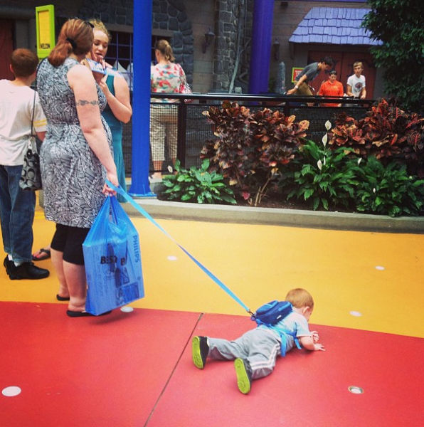 Сидеть. Стоять. Ко мне!