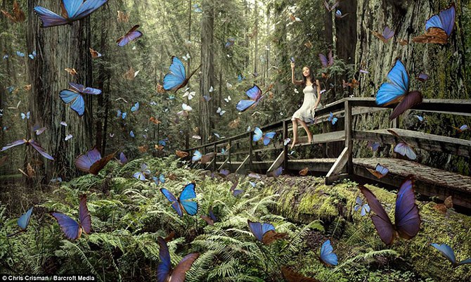 Фотоконкурс Sony World Photography Awards 2013