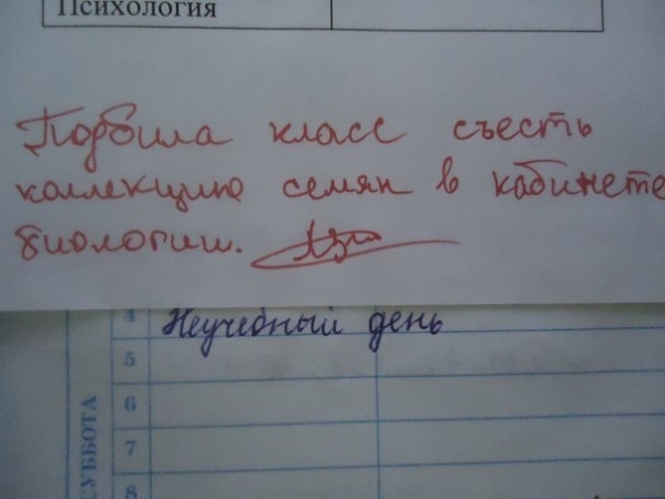 смешные школьные картинки