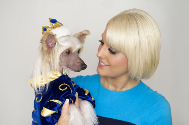 Самая избалованная собака в мире