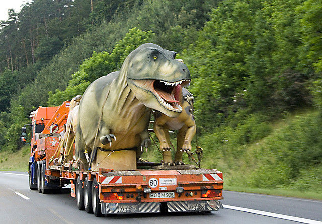 Кого только не встретишь на дорогах