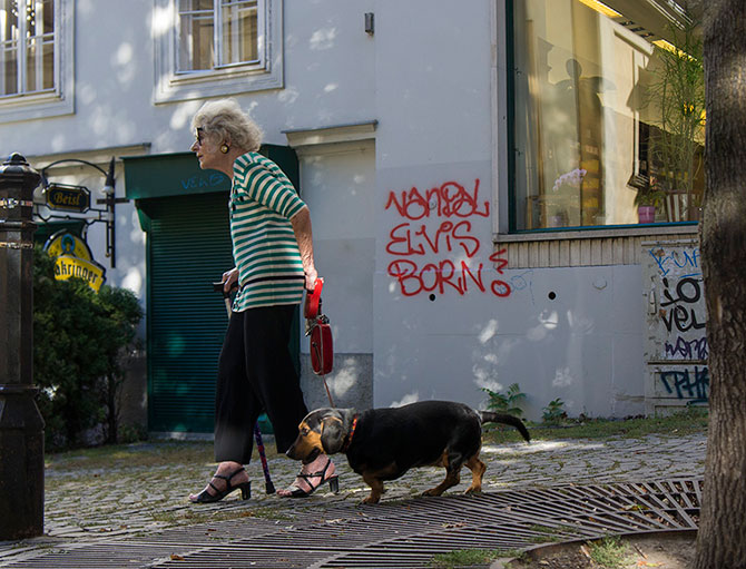 Прогулка по Вене